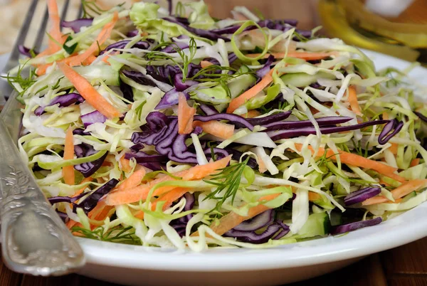 Kırmızı ve Beyaz lahana salatası — Stok fotoğraf