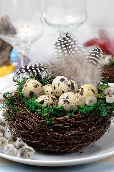 Wachtel-Ostereier im Nest auf Holztisch — Stockfoto