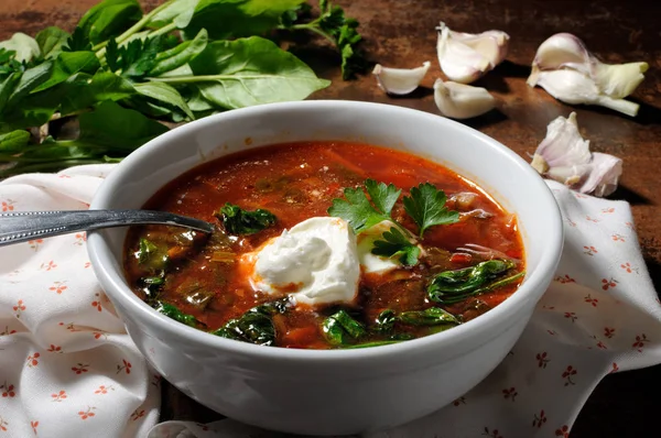 Sopa de tomate com espinafre — Fotografia de Stock