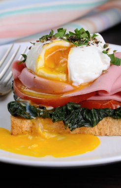  bir haşlanmış yumurta