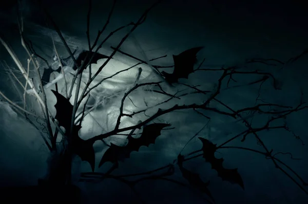 Bats on branches — Stock Photo, Image