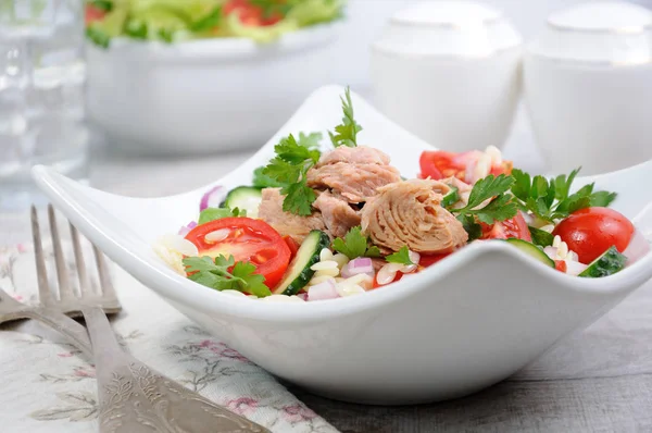 Uma salada de atum — Fotografia de Stock