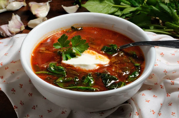 Sopa de tomate com espinafre — Fotografia de Stock