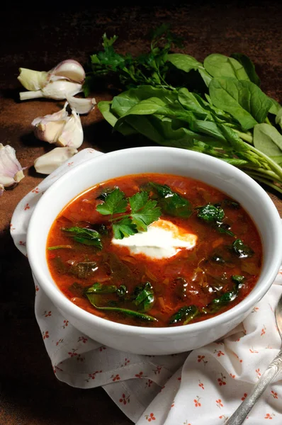 Sopa de tomate com espinafre — Fotografia de Stock