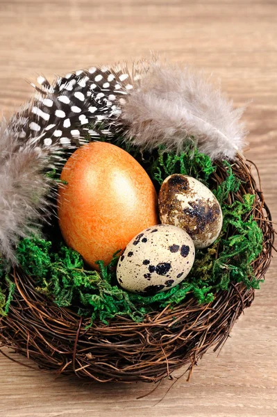 Wachtel-Ostereier im Nest auf Holztisch — Stockfoto