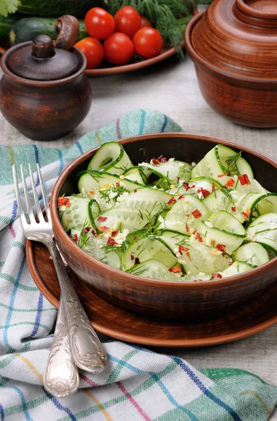 Insalata piccante di cetriolo — Foto Stock