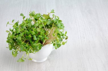 Filiz turp lahanası bir fincan