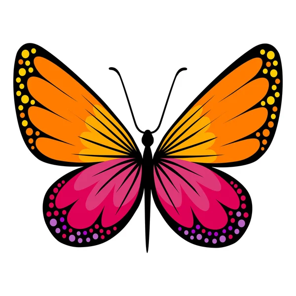 Colored butterfly logo — Stock Vector