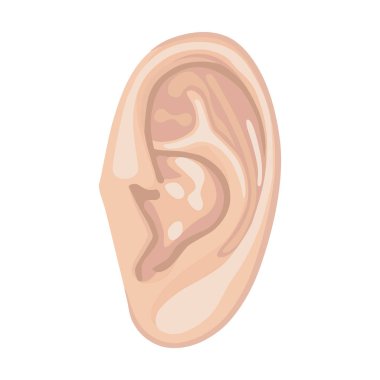 Human front view ear clipart