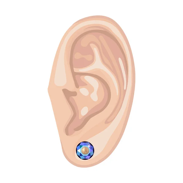 Human ear & earring — Stock Vector