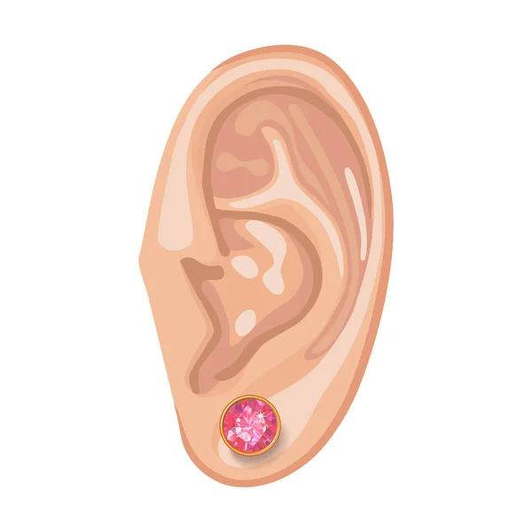 Human ear & earring — Stock Vector