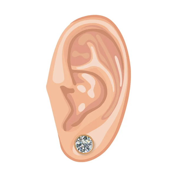 Людське вухо та сережки — стоковий вектор