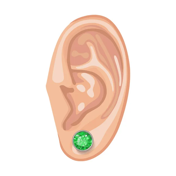Mänskliga örat & örhänge — Stock vektor