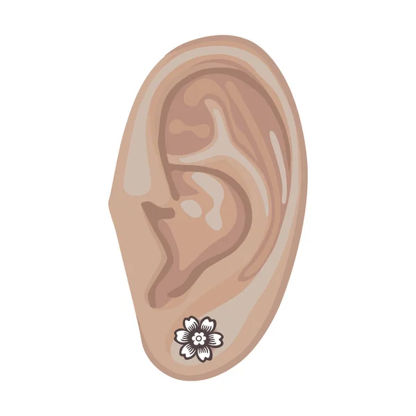 Mänskliga örat & örhänge — Stock vektor