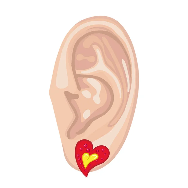 人类的耳朵 & 耳环 — 图库矢量图片
