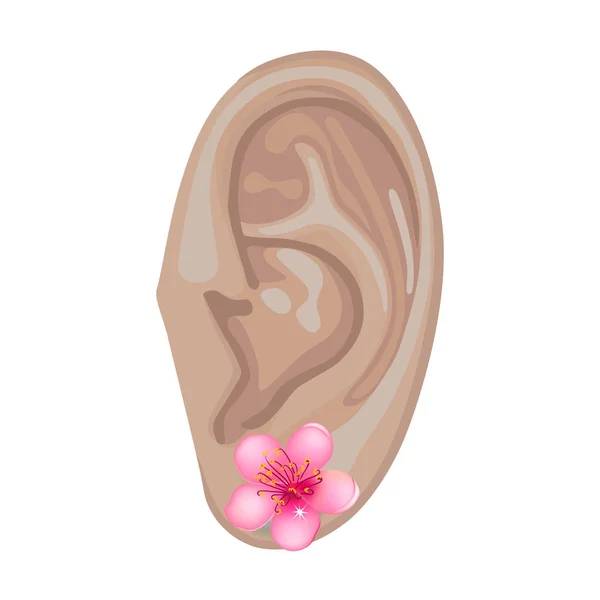 Menselijk oor & earring — Stockvector