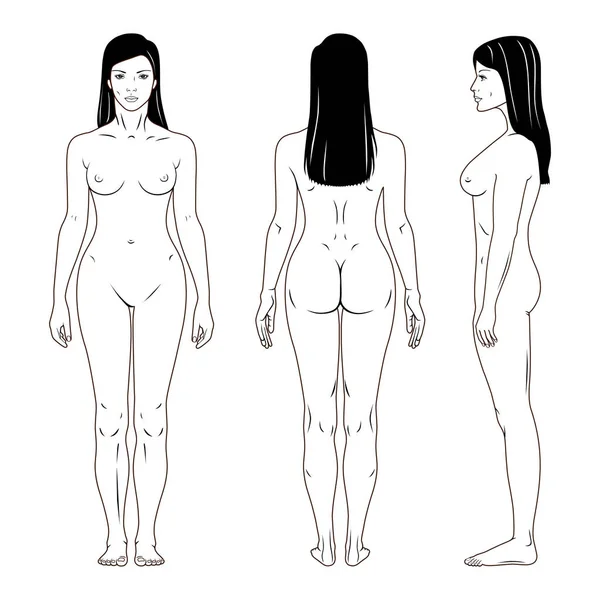 Nackte stehende Frau — Stockvektor