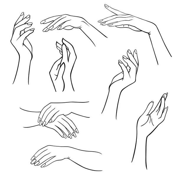 Les mains de la femme mises — Image vectorielle