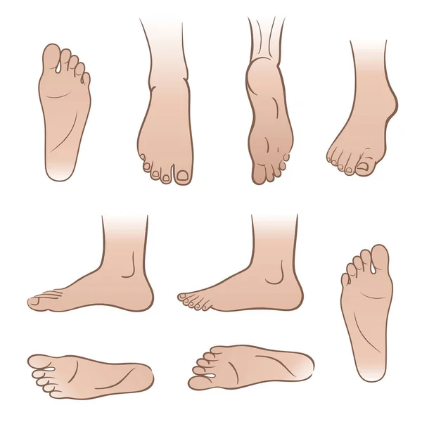 Man tanned feet — Stock Vector