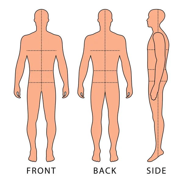 Mode man figuur — Stockvector