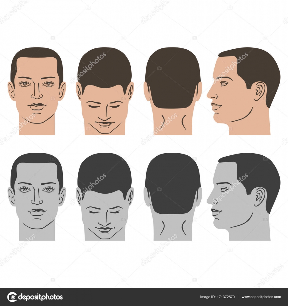 Men's haircut and hairstyle. Side part haircut. Pompadour, Undercut, Man  Bun. Barber hairstyle. Front, side and back view Stock Vector | Adobe Stock