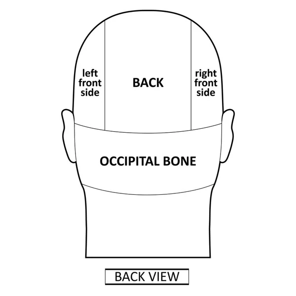 Uomo capo divisione schema — Vettoriale Stock