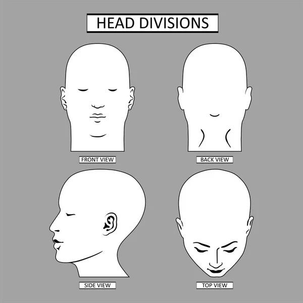 Sistema de divisões de cabeça de homem — Vetor de Stock