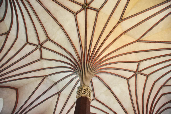 Ceiling of ancient castle . — Stock Photo, Image