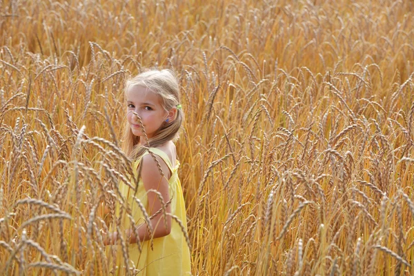 Bella ragazza in campo — Foto Stock