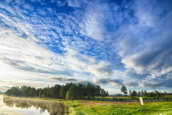 Picturesque summer landscape.