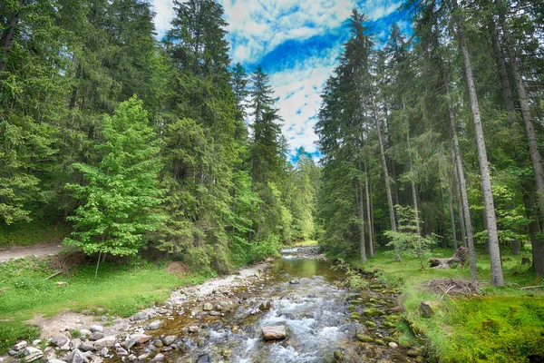 Beautiful fast water stream — Stock Photo, Image