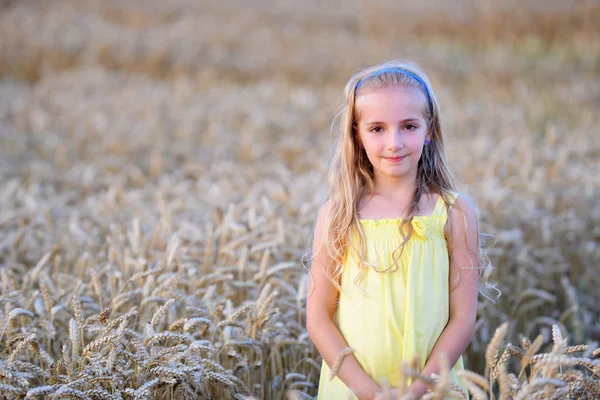 Krásná dívka v poli — Stock fotografie