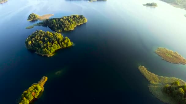 Grön ö i blå sjön — Stockvideo