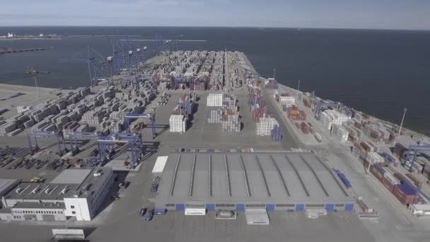 Aerial view of big cargo port — Stock Video