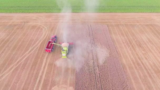 분야에서 일 하는 수확기 — 비디오