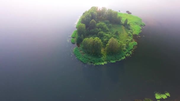 Pequeña isla en el lago — Vídeo de stock