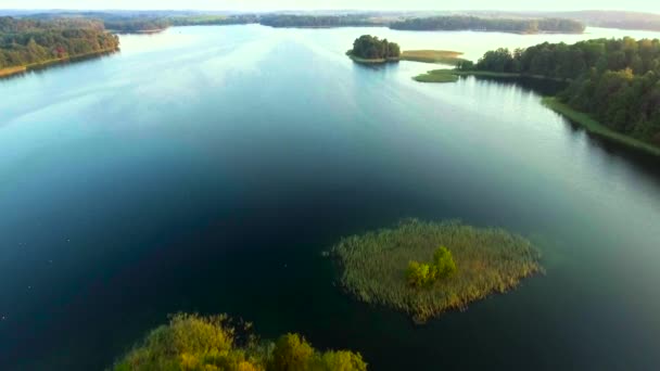 Зелений острів у блакитному озері — стокове відео