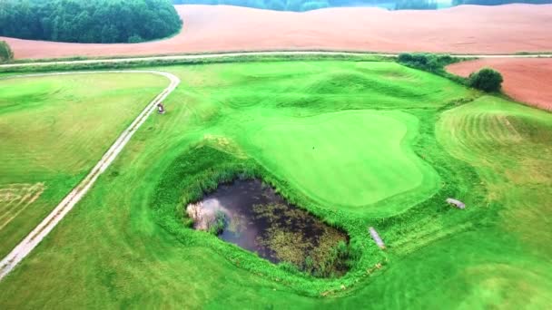 Вид с воздуха на поля для гольфа — стоковое видео