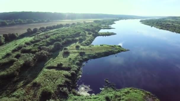 Aerial landcape of river in green meadows — Stock Video