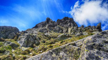 Güzel yaz manzarası