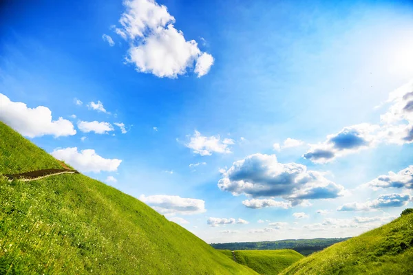 Groen veld en blauwe lucht — Stockfoto