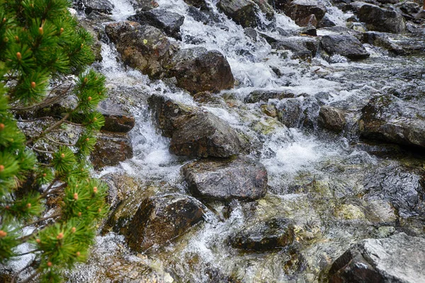 Clean water stream — Fotografie, imagine de stoc