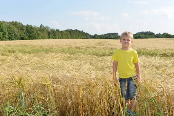 穀物のフィールド上の少年 — ストック写真
