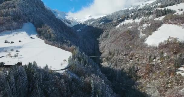 Гори в Швейцарії, в зимовий час пташиного польоту — стокове відео