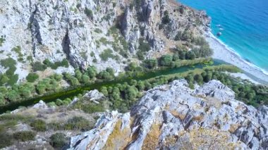 Palm beach Preveli Girit Yunanistan