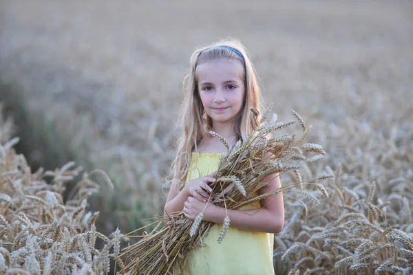 Vacker flicka i fält — Stockfoto