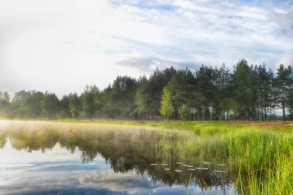 Beautiful summer landscape — Stock Photo, Image