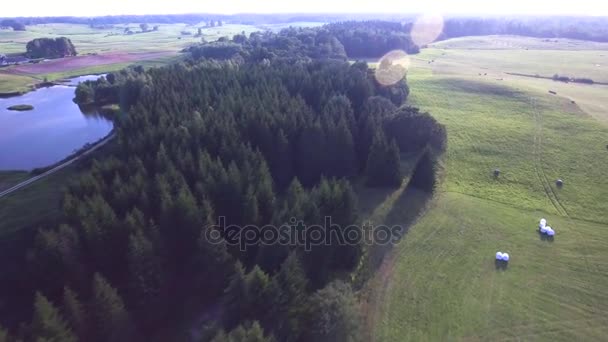 Green meadows aerial view — Stock Video