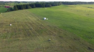 yeşil çayırlar havadan görünümü