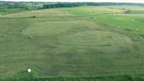 Prairies vertes vue aérienne — Video